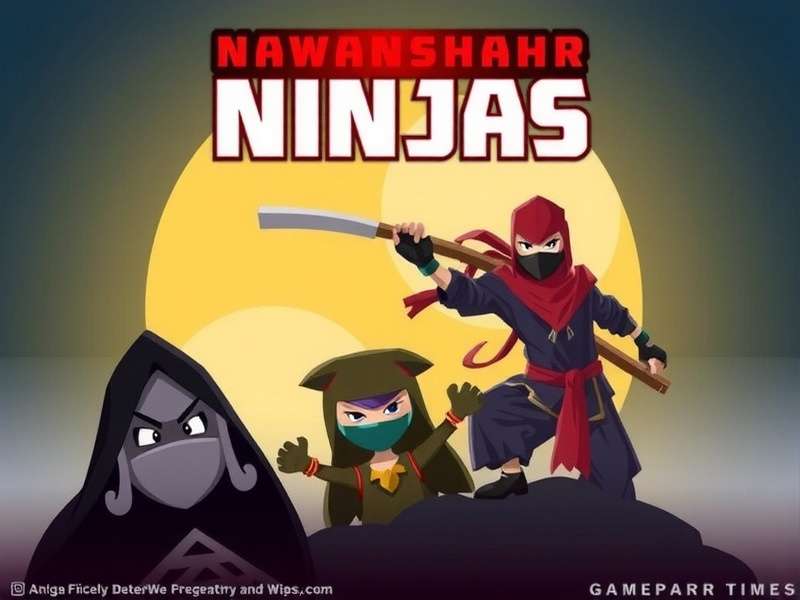 Nawanshahr Ninjas Game Banner