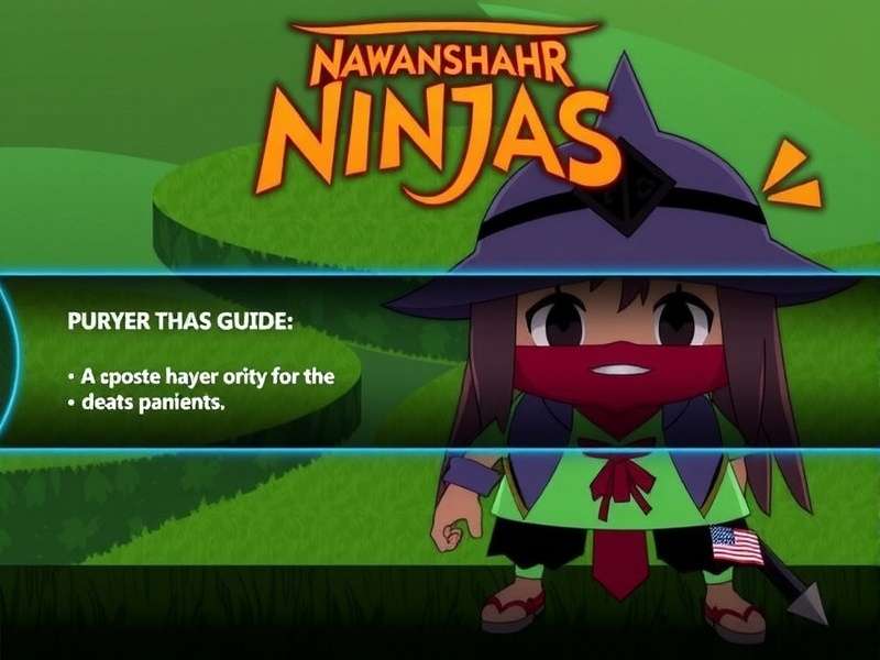 Nawanshahr Ninjas Player Guide Screenshot