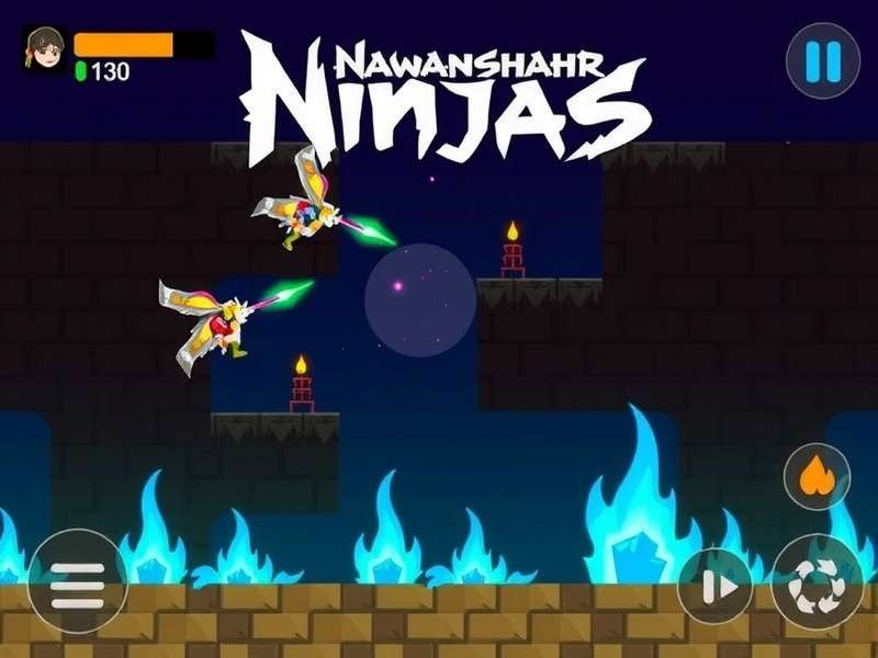 Nawanshahr Ninjas Gameplay Screenshot